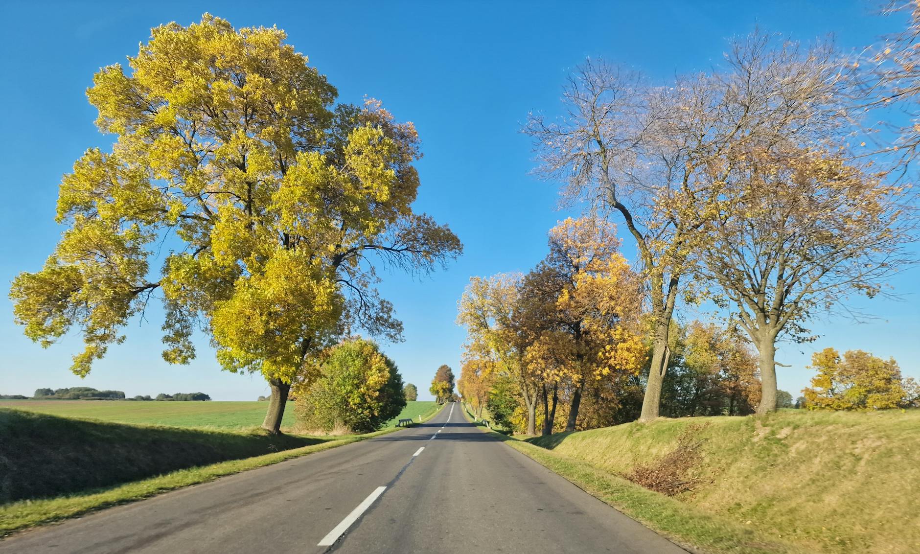 Powiat rypiński wspiera sport. Kto otrzymał dofinansowanie?
