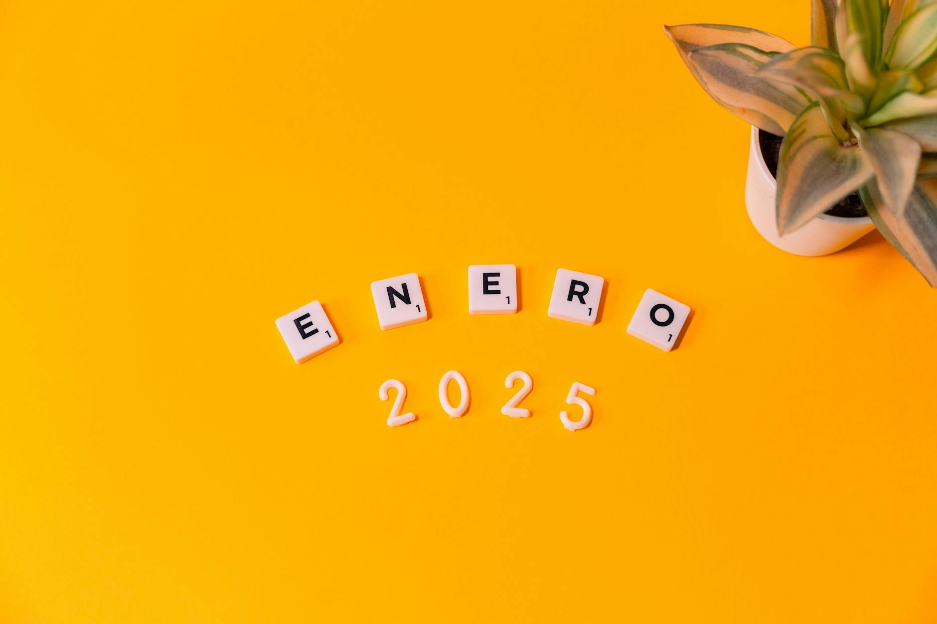 Grafika przedstawiająca wzrost budżetu Rypina w 2025 roku, z naciskiem na kluczowe wydatki i dochody